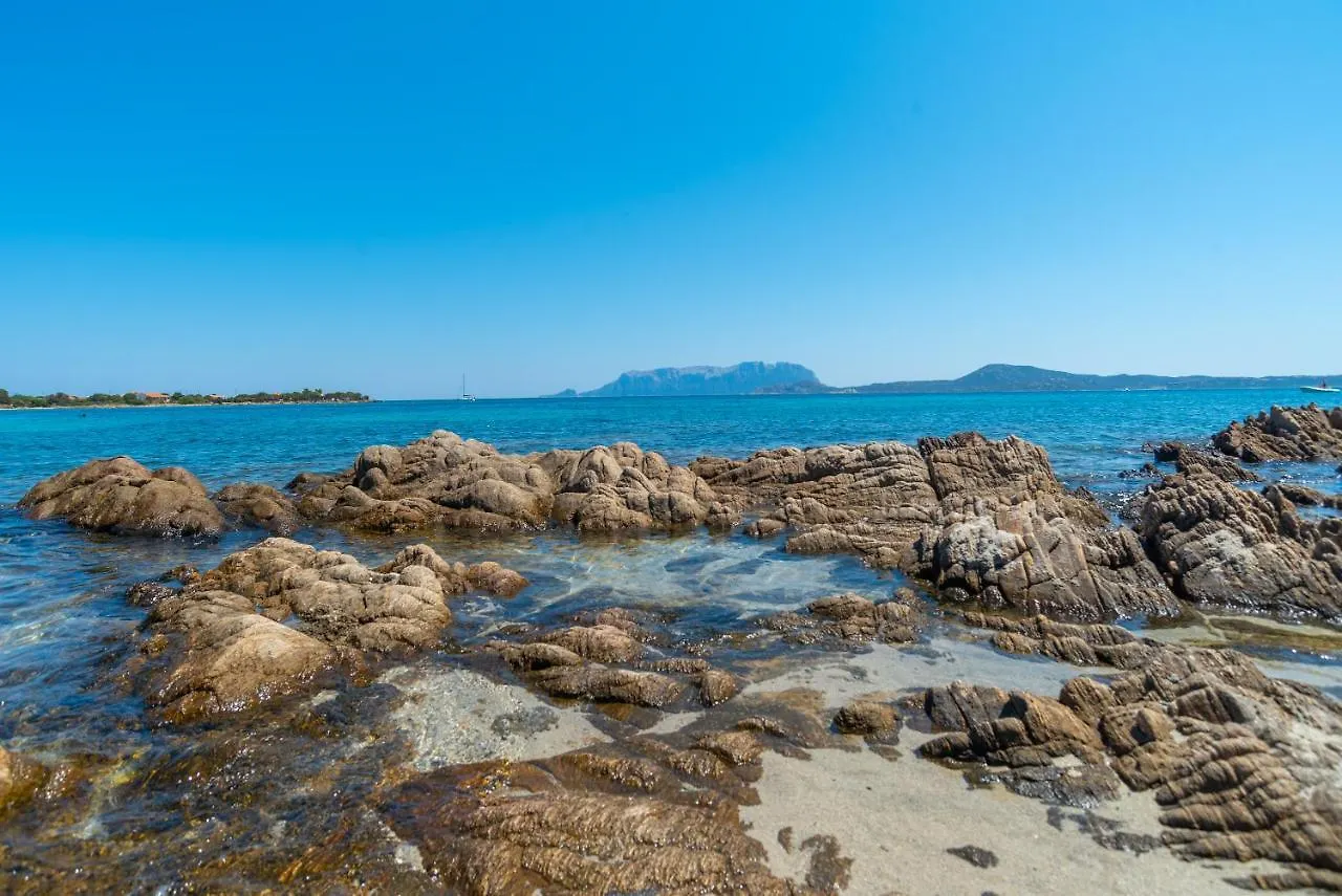 Σπίτι διακοπών Appartamento Del Pellicano Όλμπια Ιταλία